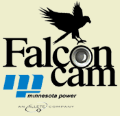 Falcon Cam II